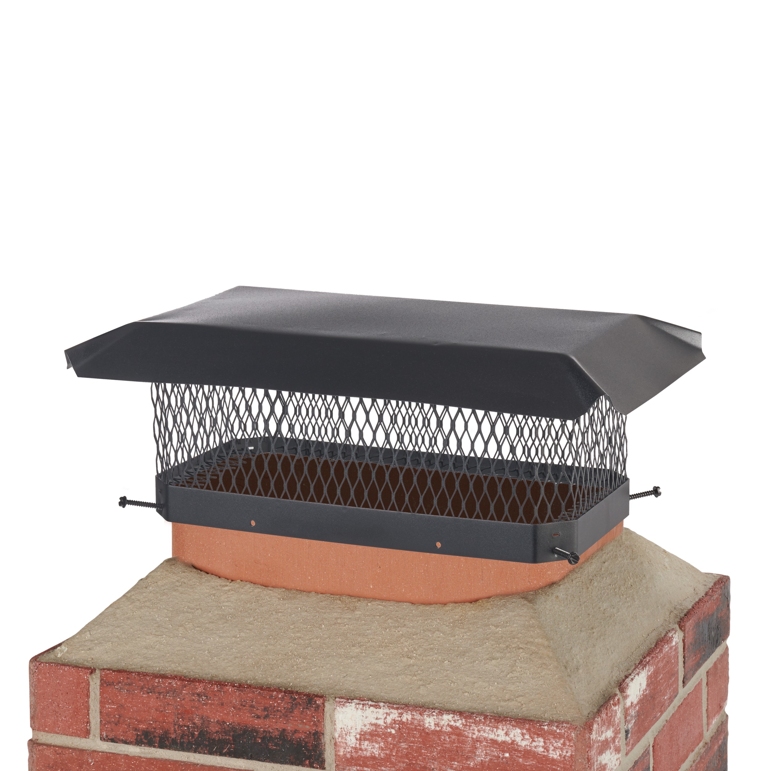 Chimney-services (16)